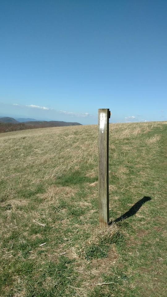 82 going up to Max Patch 4 19 17