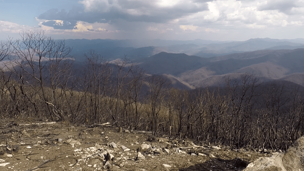 vlcsnap-2018-03-18-16h51m11s71