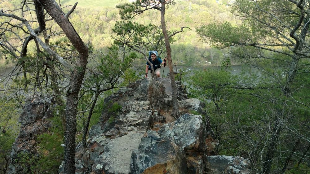 102 stoat on lovers leap 4 17