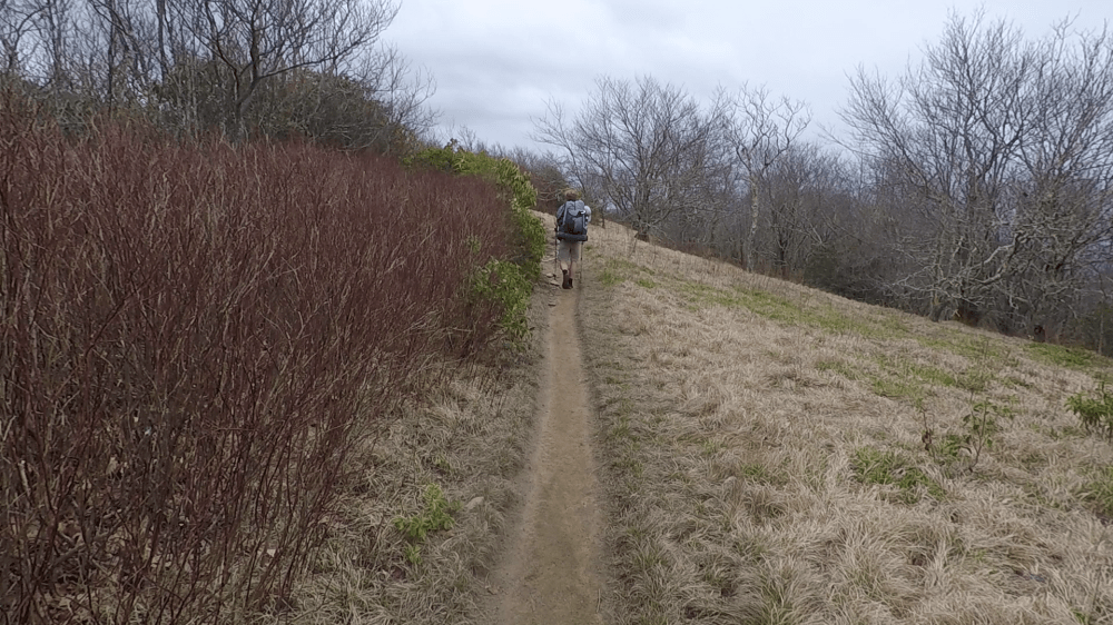 vlcsnap-2018-04-04-21h27m33s177