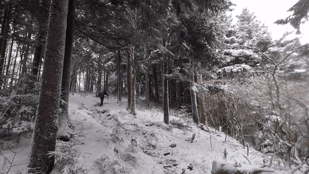 vlcsnap-2018-04-04-22h31m35s25