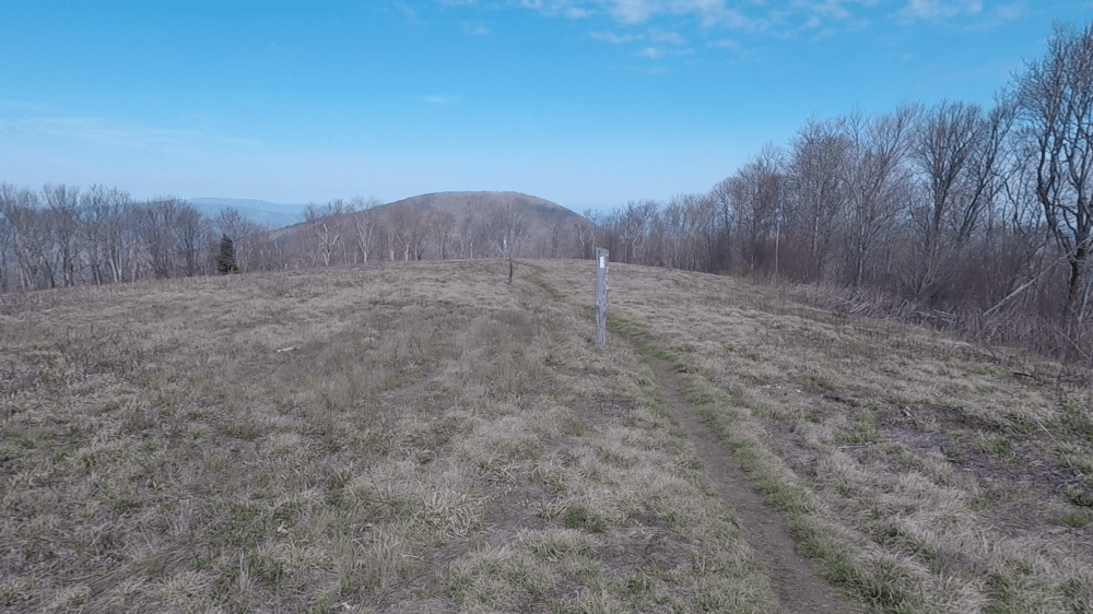 vlcsnap-2018-04-12-21h26m29s141