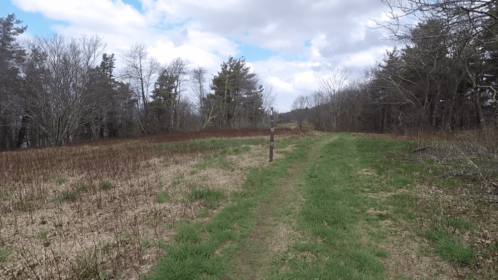 vlcsnap-2018-04-17-21h13m48s105