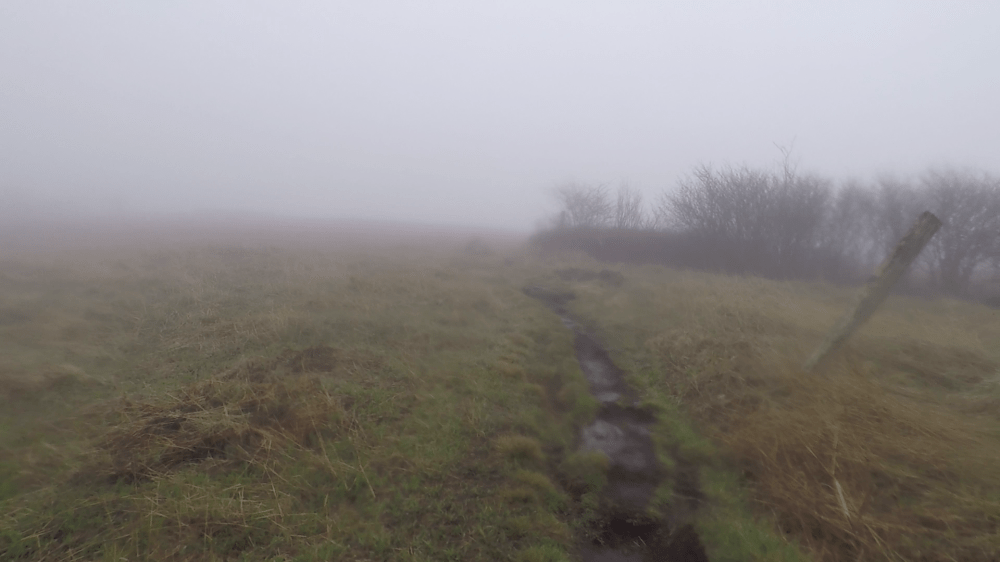 vlcsnap-2018-04-18-20h57m55s56