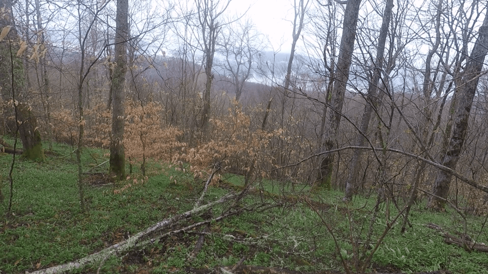 vlcsnap-2018-04-18-21h02m52s245