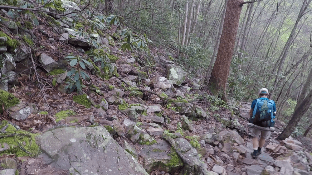 vlcsnap-2018-04-24-20h40m57s85