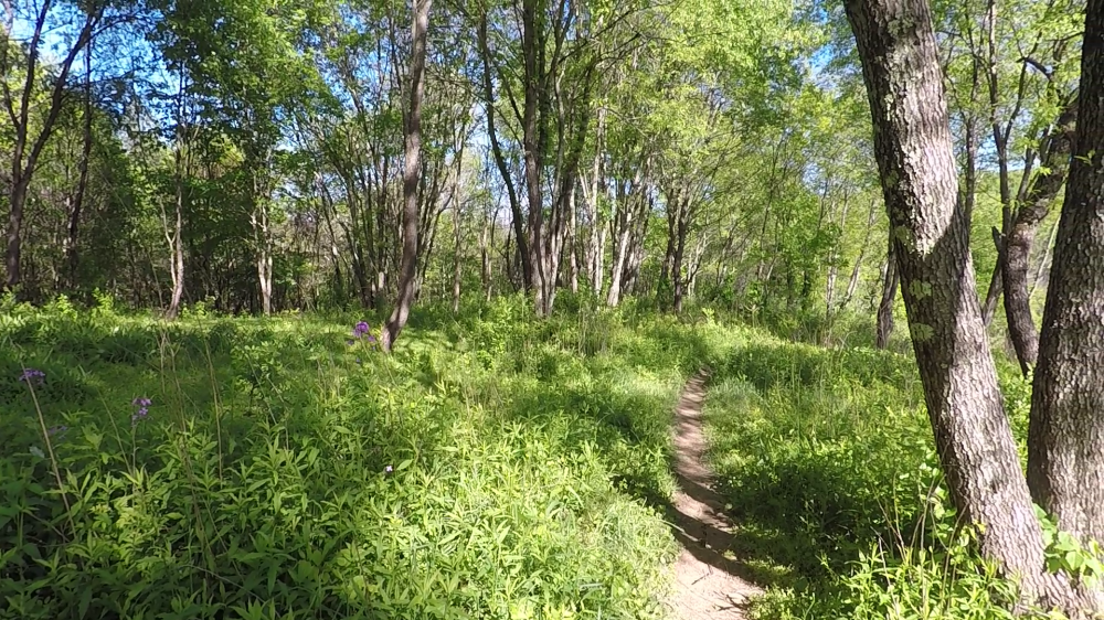 vlcsnap-2018-05-07-20h44m43s106