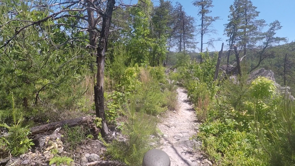 vlcsnap-2018-05-16-23h04m35s206