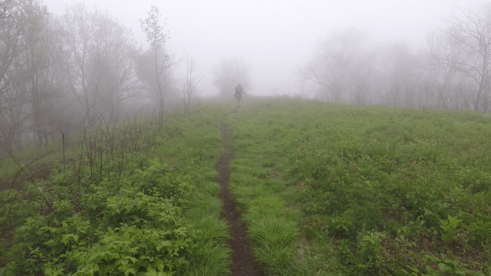 vlcsnap-2018-05-22-17h42m20s181