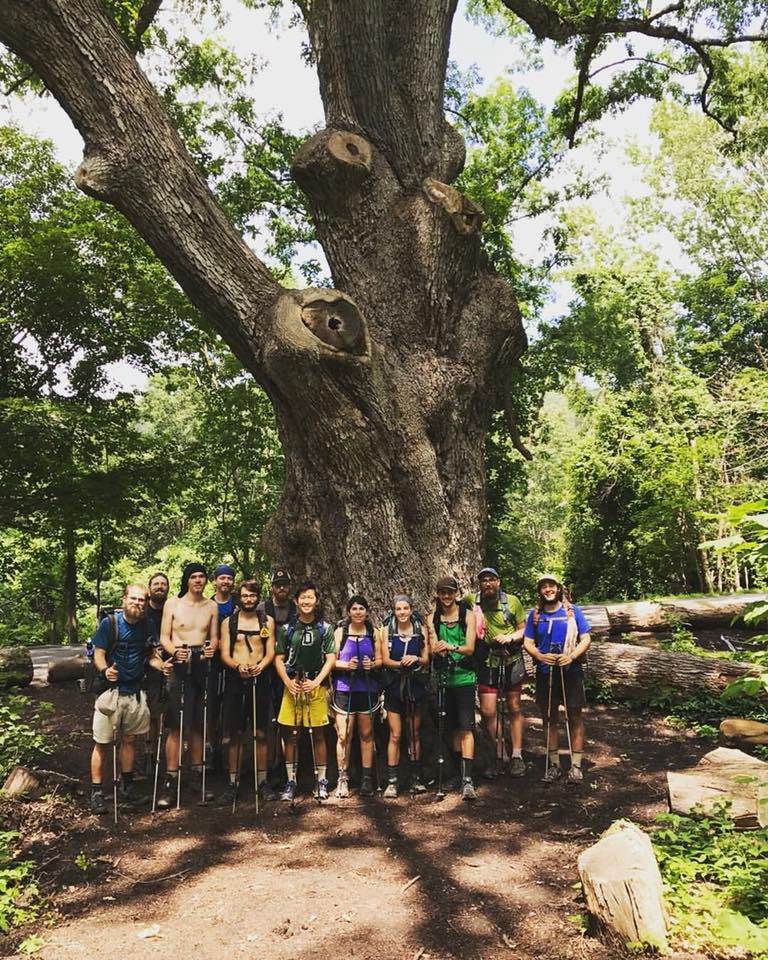 26231196_2595211887171825_2416445127111628101_n