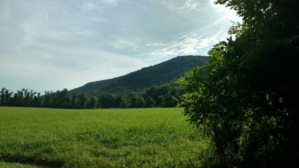 IMG_20170706_172635243_HDR.jpg