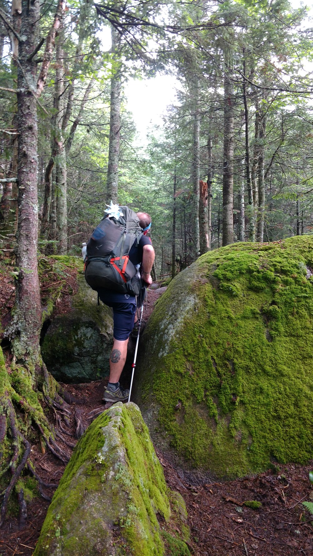 IMG_20170801_090732468