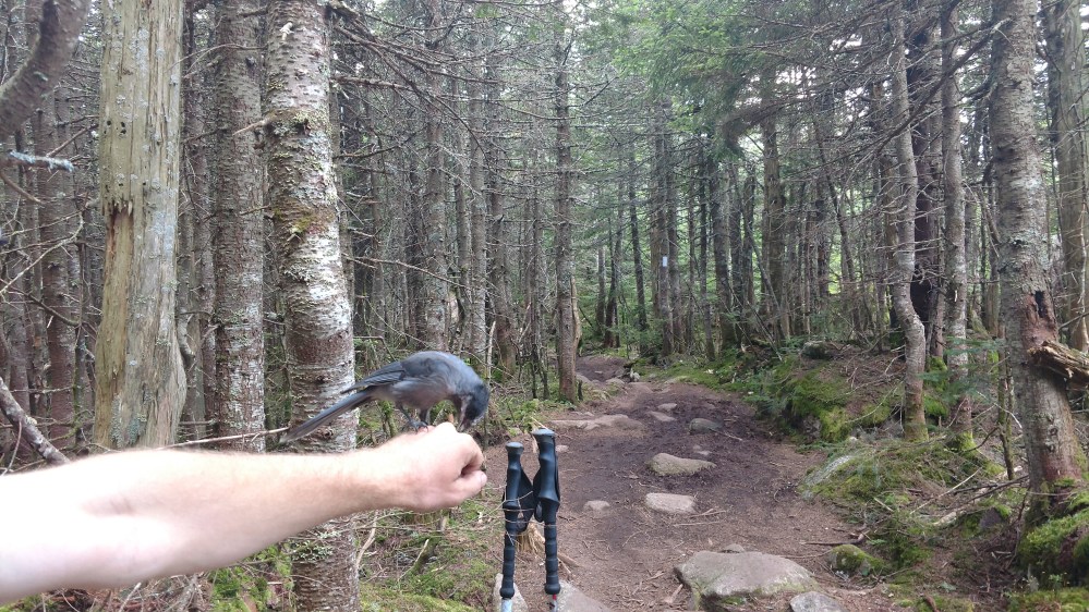 IMG_20170803_120248455_BURST000_COVER_TOP