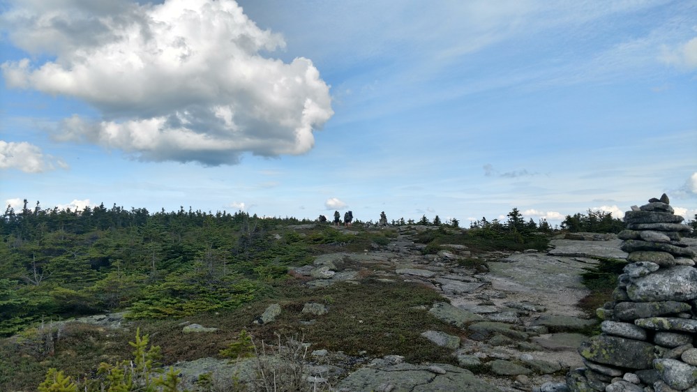 IMG_20170814_161310958_HDR