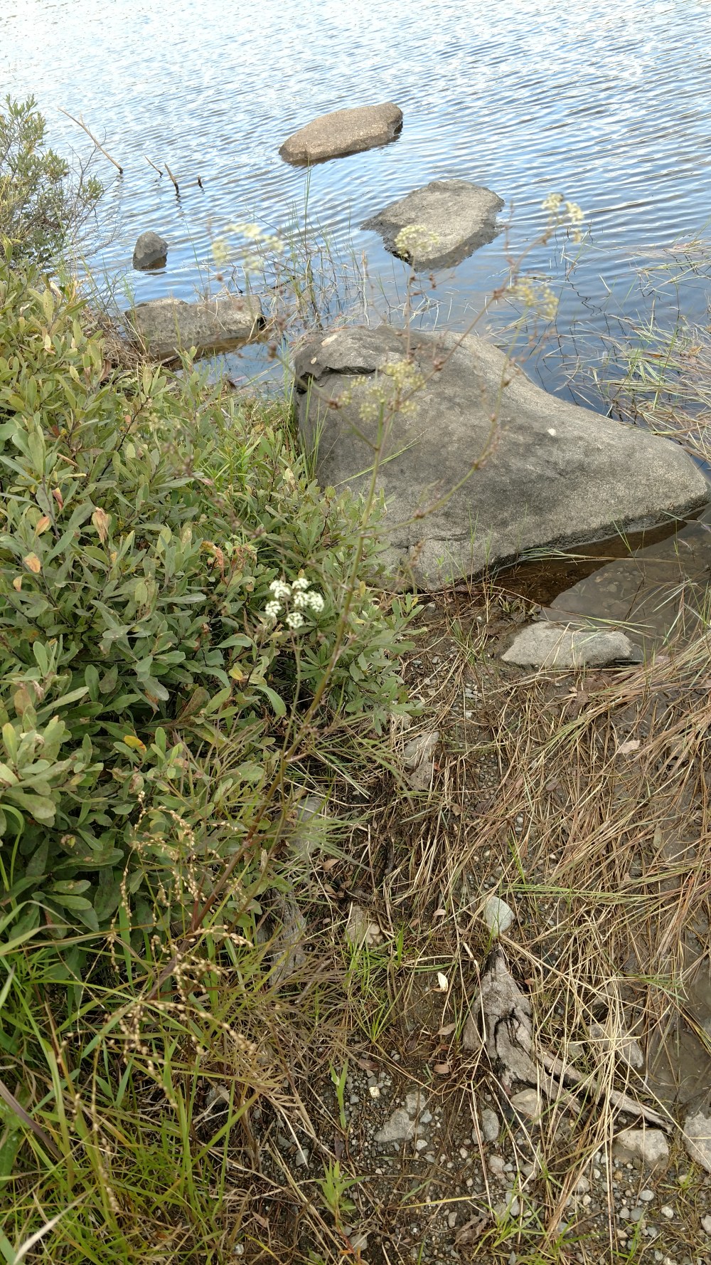 IMG_20170825_163050439